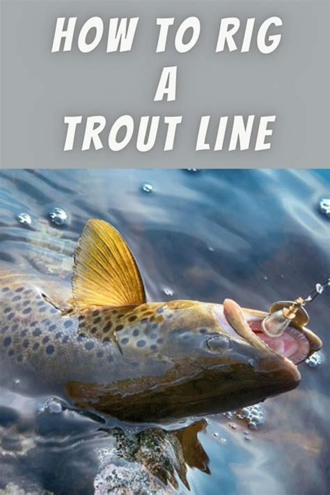 trout Fishing Line Conclusion